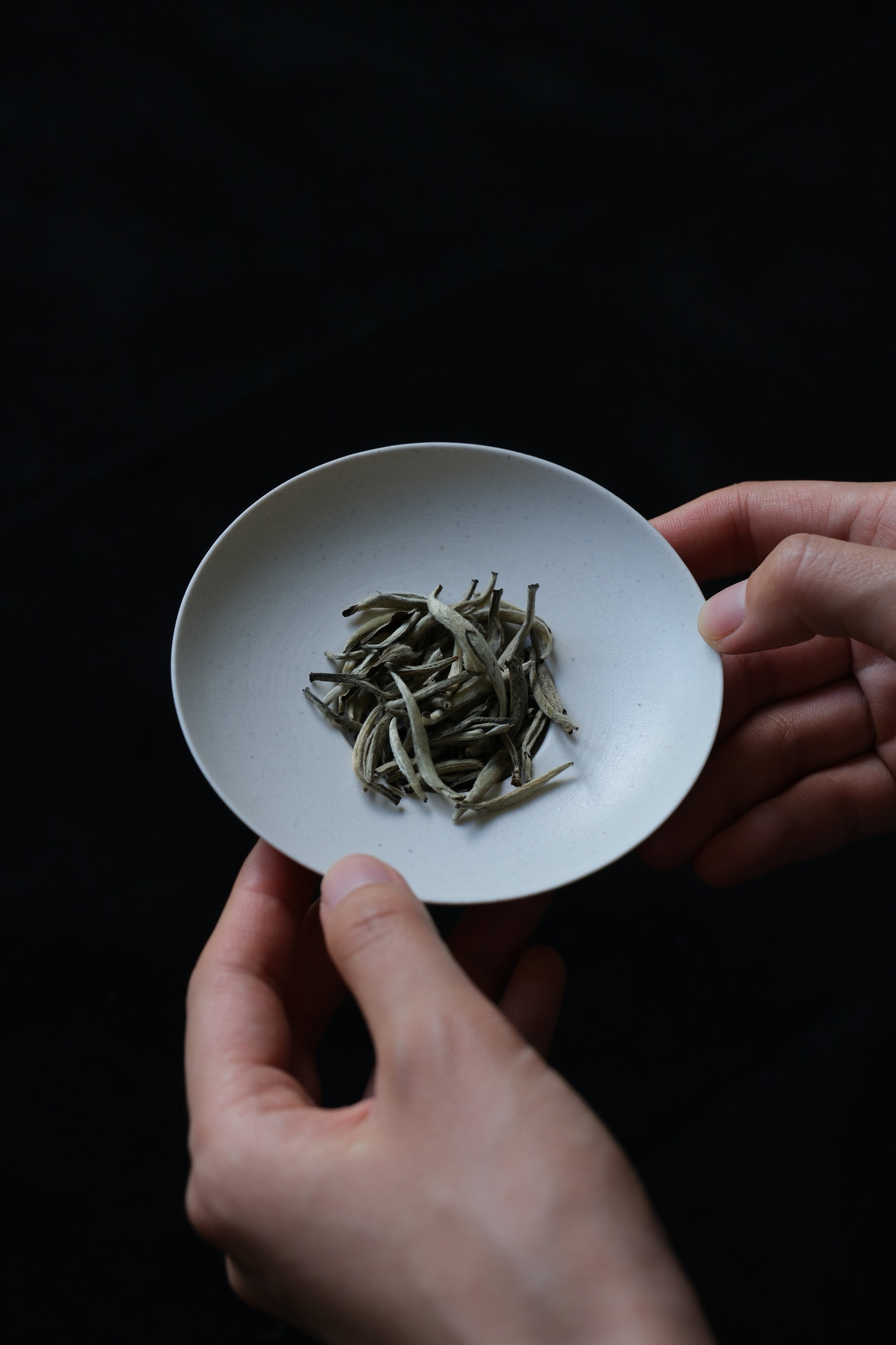 GONGGI TEA CLASS AND RITUAL SESSION