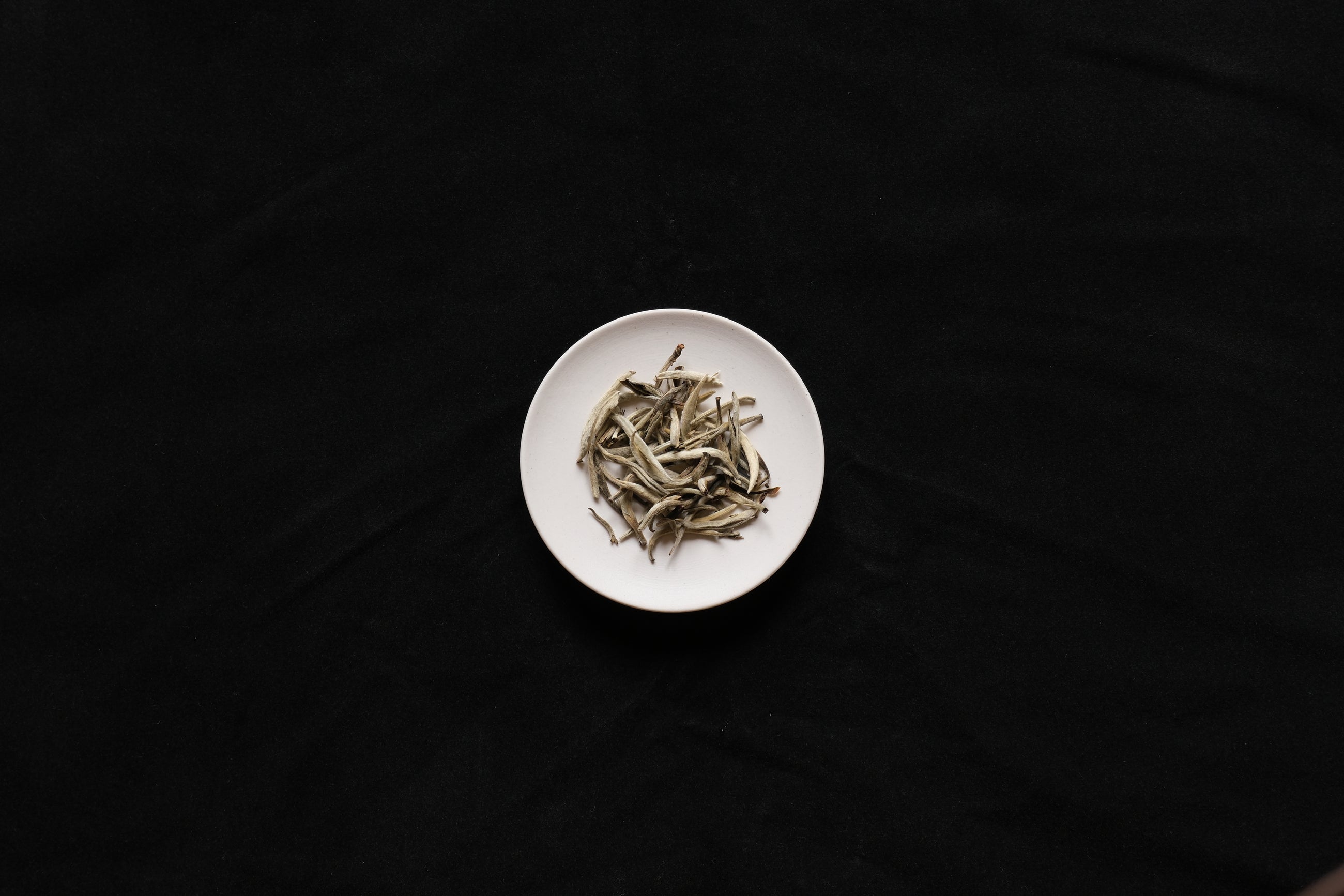 CHINA : YUNNAN WHITE TEA