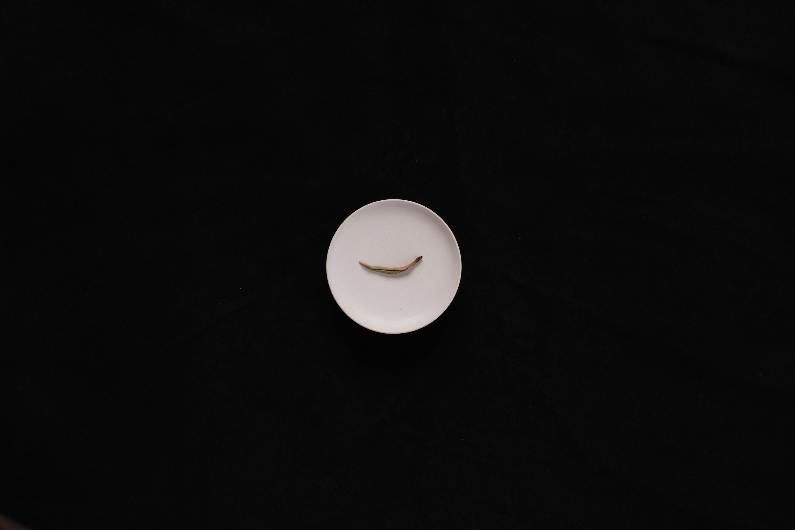 CHINA : YUNNAN WHITE TEA