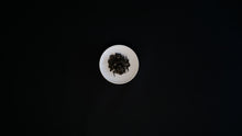 TAIWAN : PREMIUM DONG DING OOLONG TEA