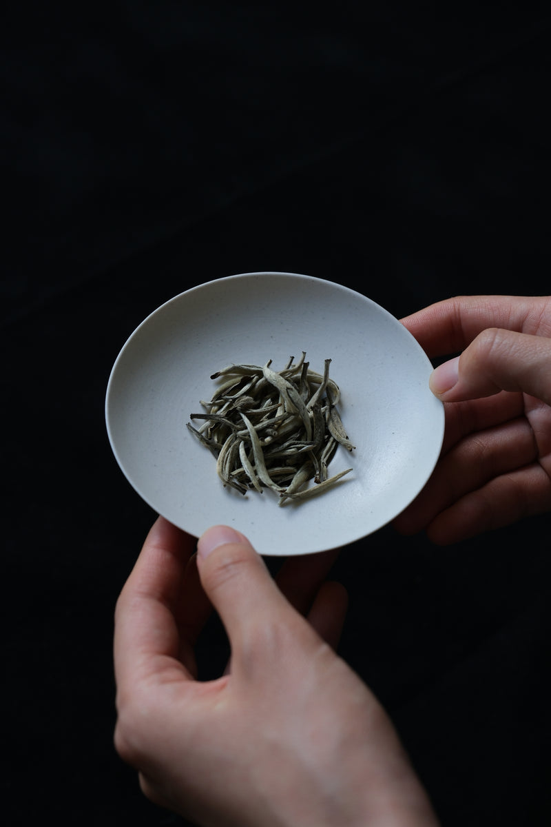 GONGGI TEA CLASS AND RITUAL SESSION