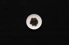 KOREA : HADONG MUGWART TEA