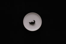 TAIWAN : HUANG LONG TEA